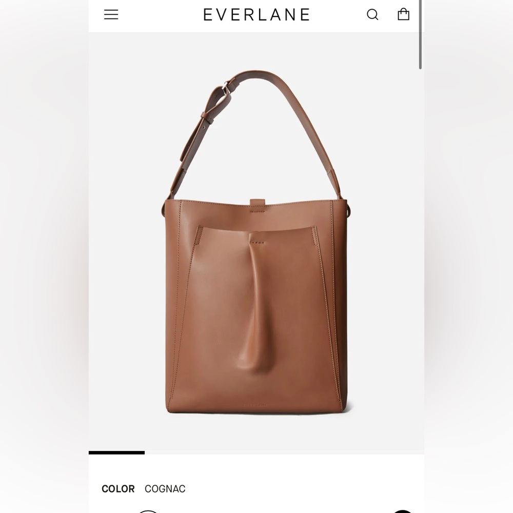 Everlane studio bag